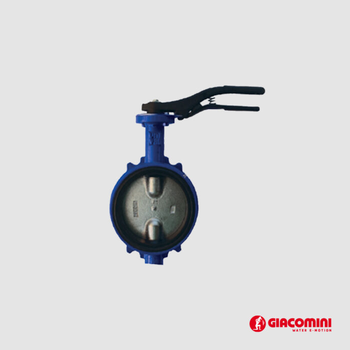 ურდული R59WY010 DN100 GIACOMINI