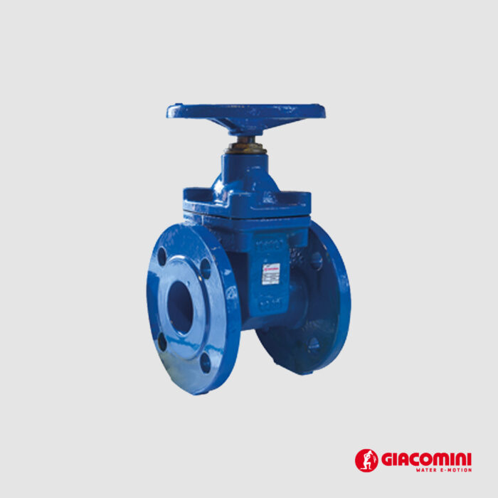 ურდული R55FLY010 DN100 GIACOMINI